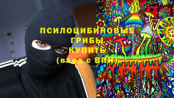 дмт Бугульма