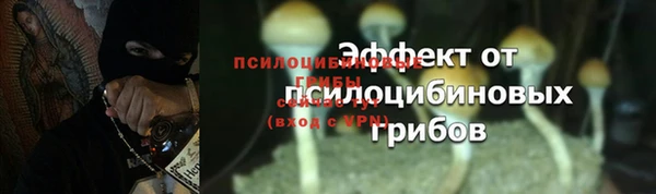молекула духа Богородск