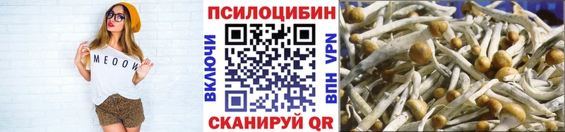 купить закладку  blacksprut маркетплейс  Галлюциногенные грибы Psilocybe  Бронницы 